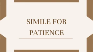 Simile for Patience