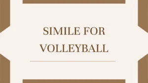 Simile for Volleyball